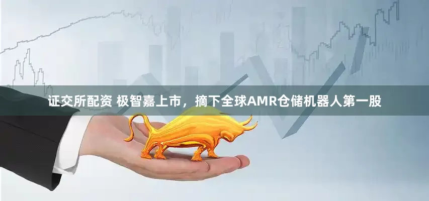 证交所配资 极智嘉上市，摘下全球AMR仓储机器人第一股