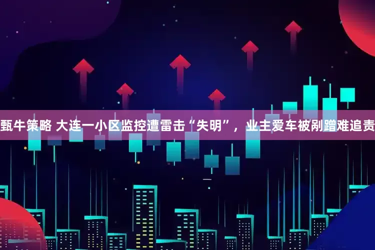 甄牛策略 大连一小区监控遭雷击“失明”，业主爱车被剐蹭难追责