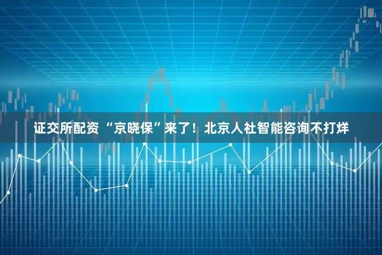 证交所配资 “京晓保”来了！北京人社智能咨询不打烊