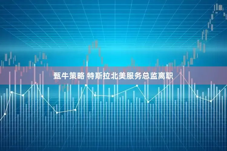 甄牛策略 特斯拉北美服务总监离职
