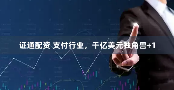 证通配资 支付行业,千亿美元独角兽+1